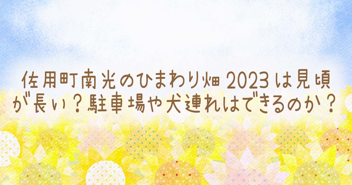 佐用町南光のひまわり畑2023は見頃が長い？駐車場や犬連れはできるのか？の記事のタイトル画像